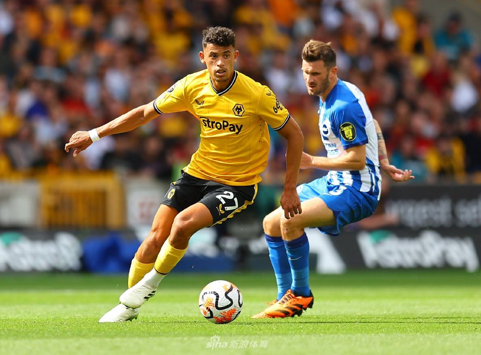 教练的指挥 教练的指挥